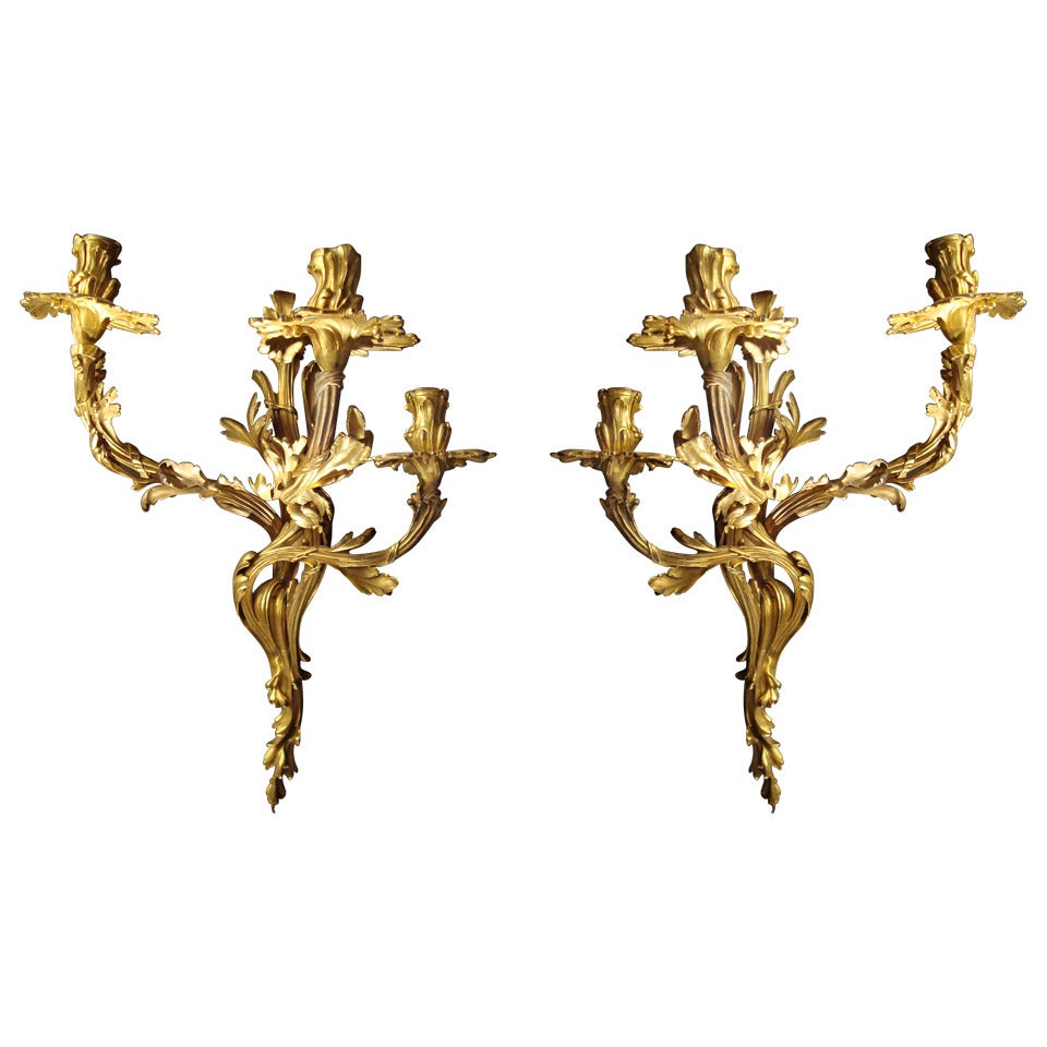 Unusually Large Pair of Louis XV Style Gilded Bronze Wall Lights For Sale