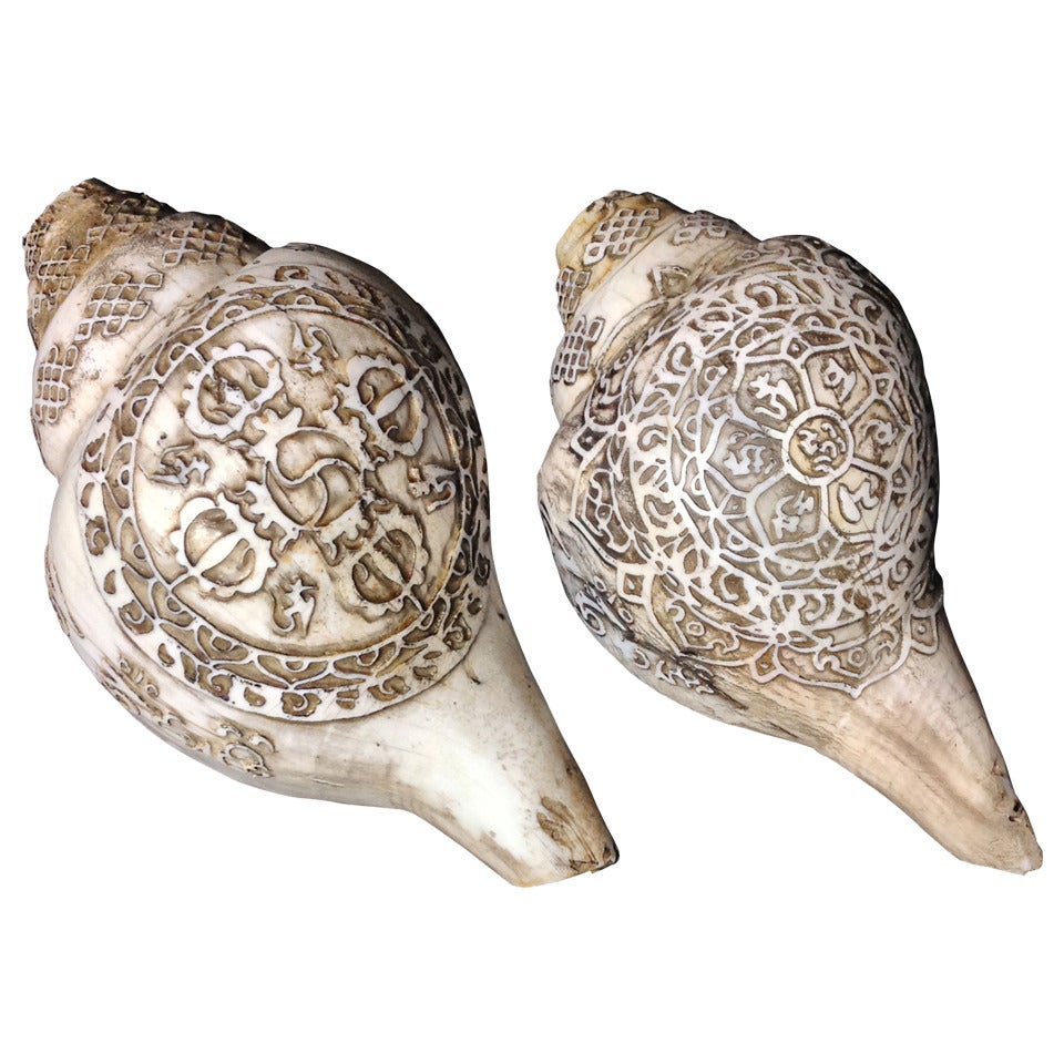 Carved Sea Shells from Tibet also known as Dung-Dkar