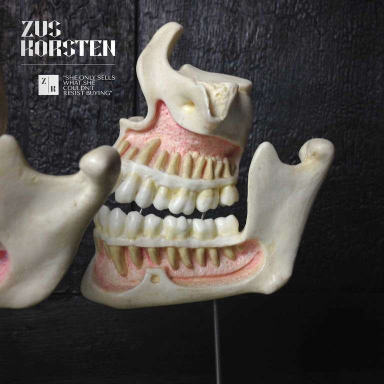 Mid-20th Century Dental Model from Western Germany