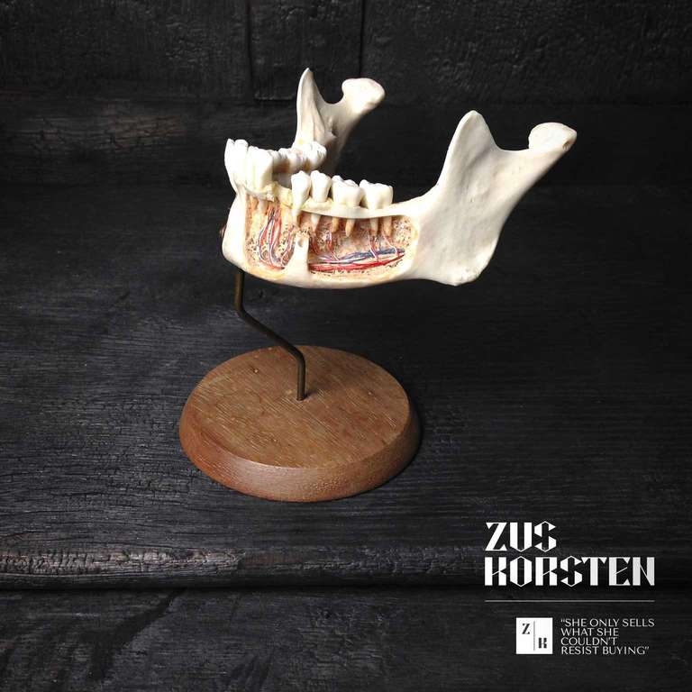 An antique real human jaw as medical study material. One side can be opened to show the bone structure and cross cut of theeth and molars. The other side shows the nerves lying in the jawbone. Stands on a wooden basement.