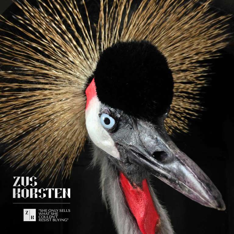 Amazing Crowned Crane Taxidermy In Excellent Condition In Haarlem, NL
