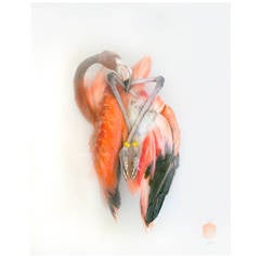 Numbered 7/7 and signed Art print by Sinke & van Tongeren 'Flamingo II'