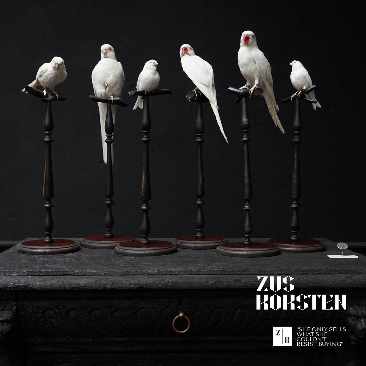 Rare Collection of Taxidermy Albino Birds