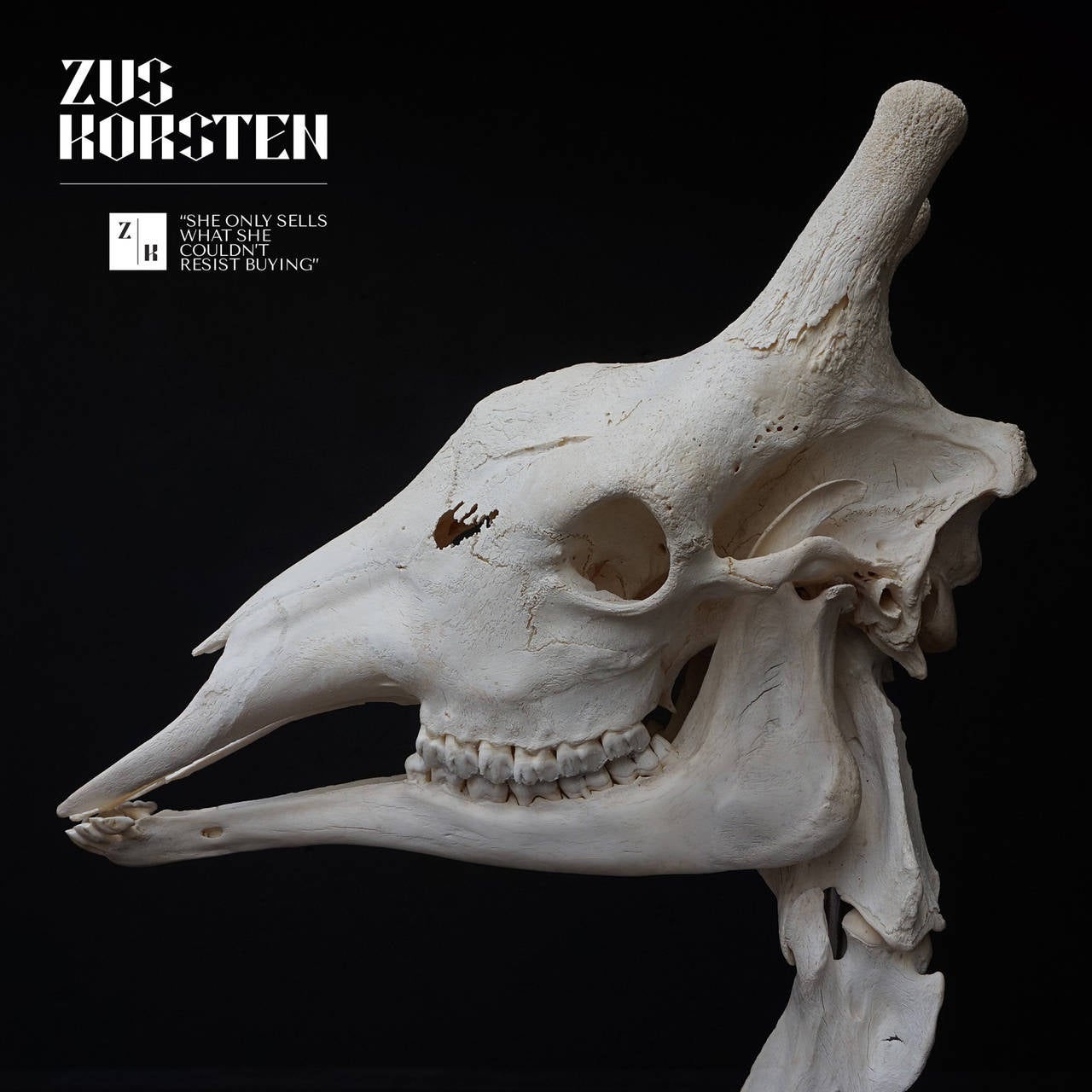 European Giraffe Skeleton Taxidermy Head and Neck on Solid Marble Base