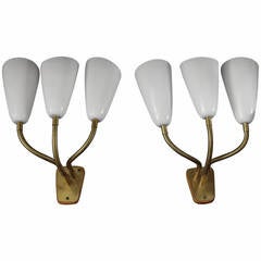 Swiss Brass and Painted Metal Articulate 1960s Wall Lamp