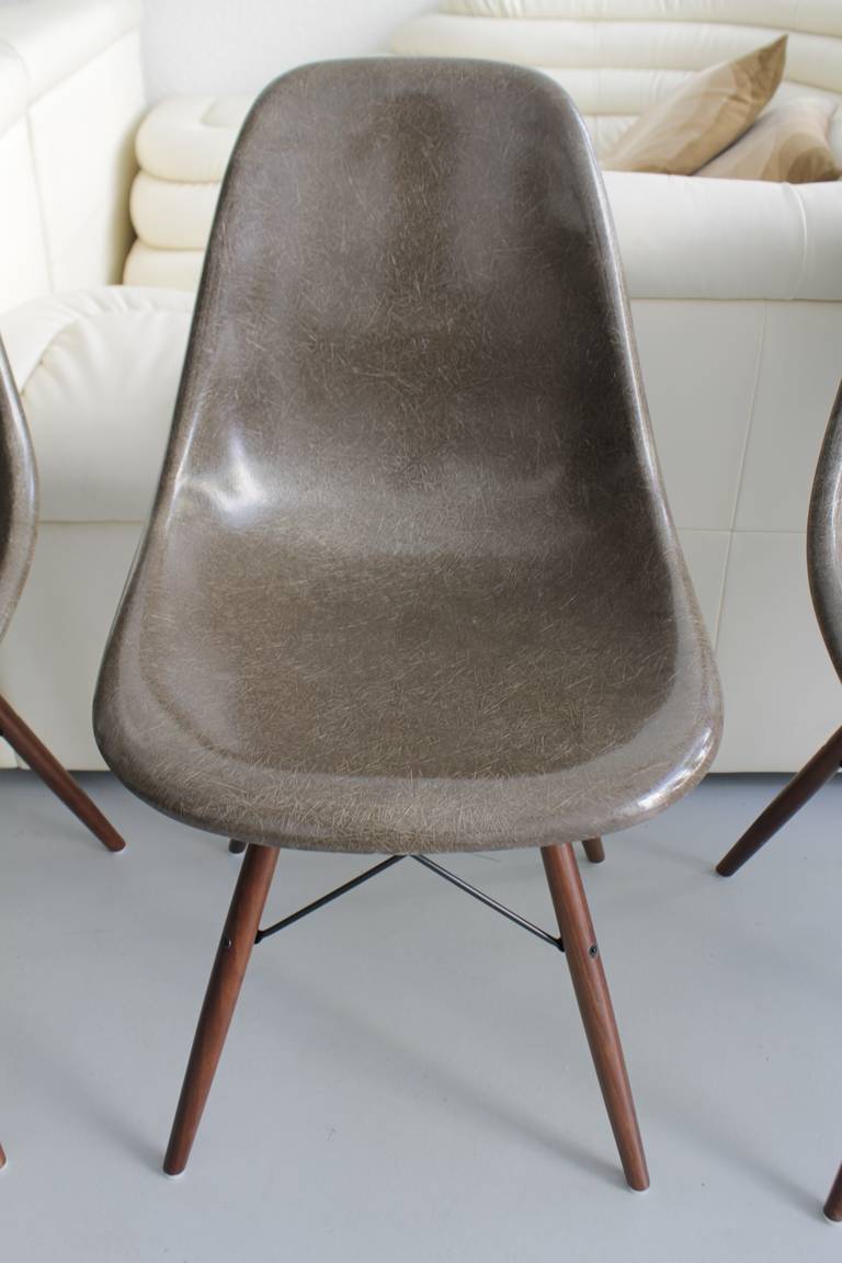 Eames Dowel Chocolate Brown Fiberglass Side Chairs In Excellent Condition In Geneva, CH