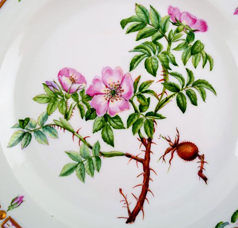 Royal Copenhagen Flora Danica Dinner Plate