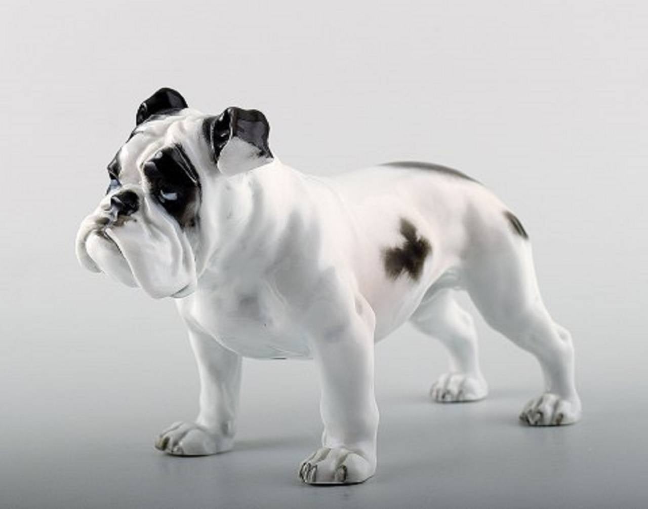 Rosenthal, standing bulldog in porcelain.
Measures: 17 x 10 cm. In perfect condition. Marked.