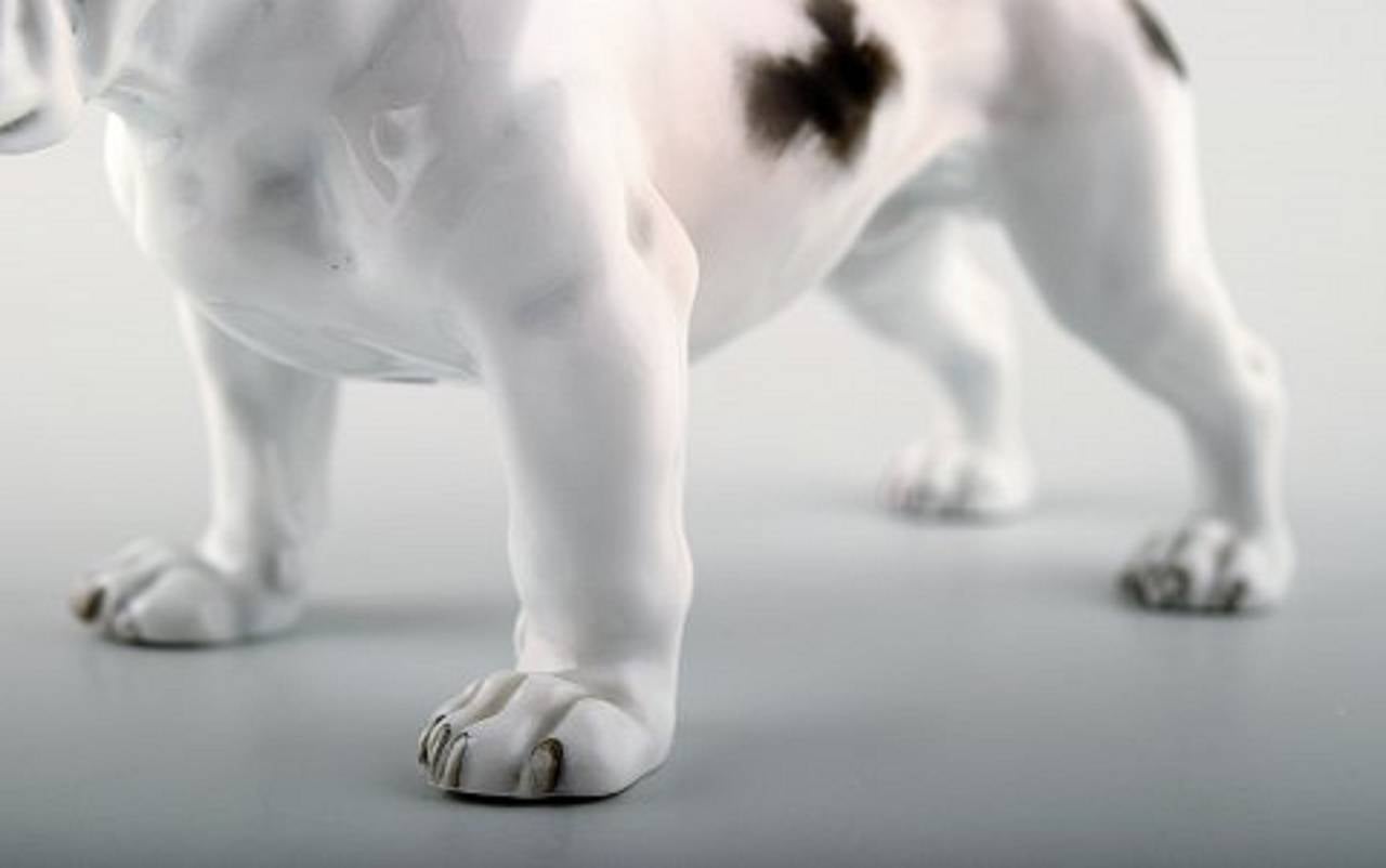 Rosenthal, Standing Bulldog in Porcelain In Excellent Condition In Copenhagen, DK