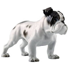 Vintage Rosenthal, Standing Bulldog in Porcelain