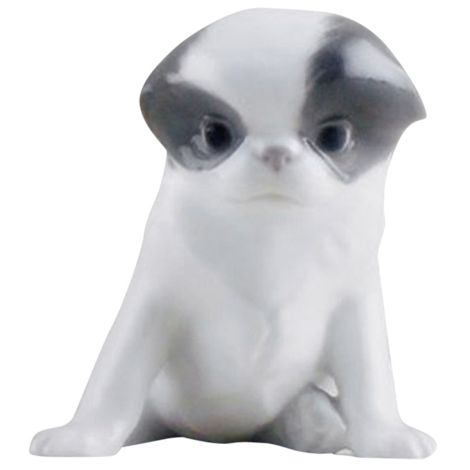 Raro cachorro pequinés de Royal Copenhagen, número 448