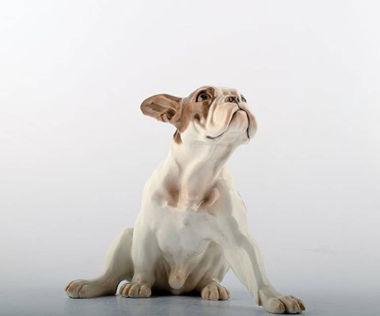 Large Bing and Grondahl Figurine, French Bulldog at 1stDibs