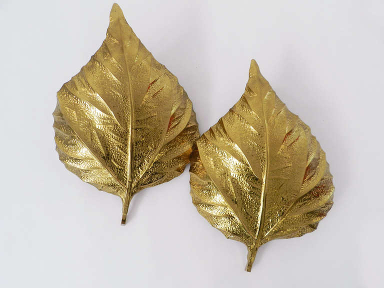 Mid-Century Modern Pair of Tommaso Barbi leaf sconces