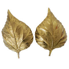 Pair of Tommaso Barbi leaf sconces