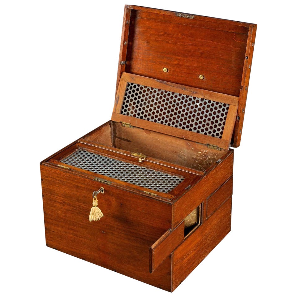 George III Mahogany and Brass Gamecocks Carrying Case