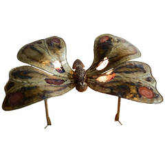 Illuminating Jacques Duval-Brasseur Mosquito Brass Sconce