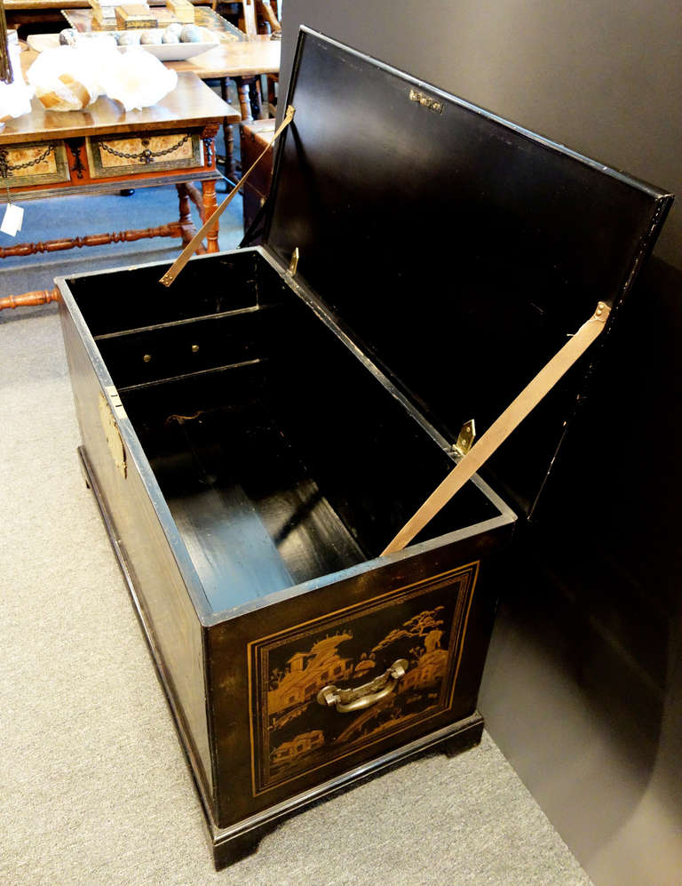 18th Century Chinoiserie Trunk with Brass Hardware For Sale 2