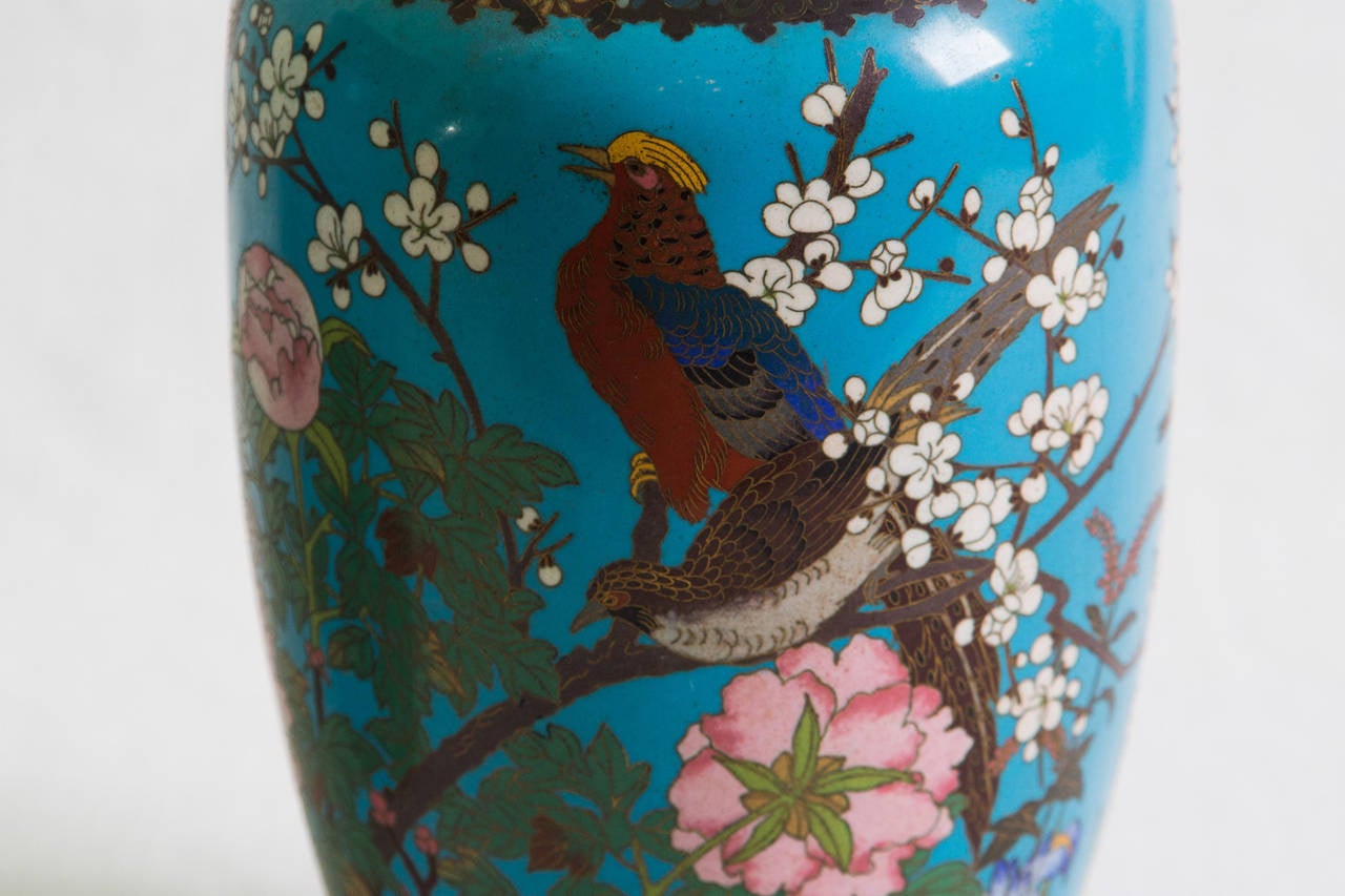 19th Century Chinese Cloisonnè Pair of Vases 1