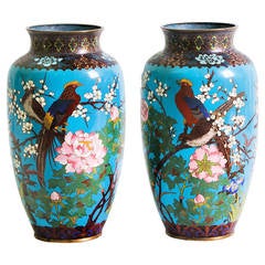 19th Century Chinese Cloisonnè Pair of Vases
