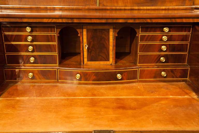 English Regency bookcase in mahogany