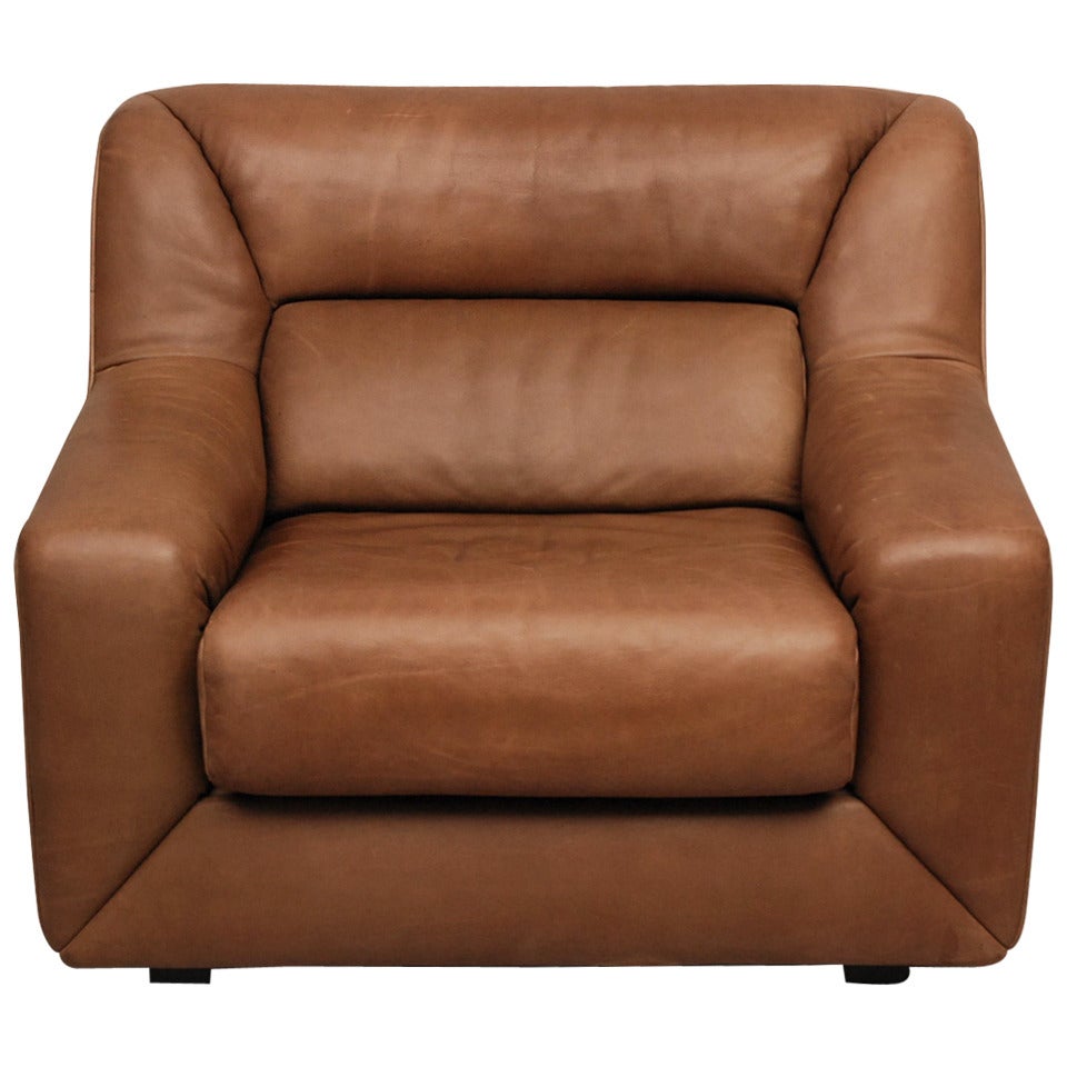 Club Chair, DS-43, De Sede