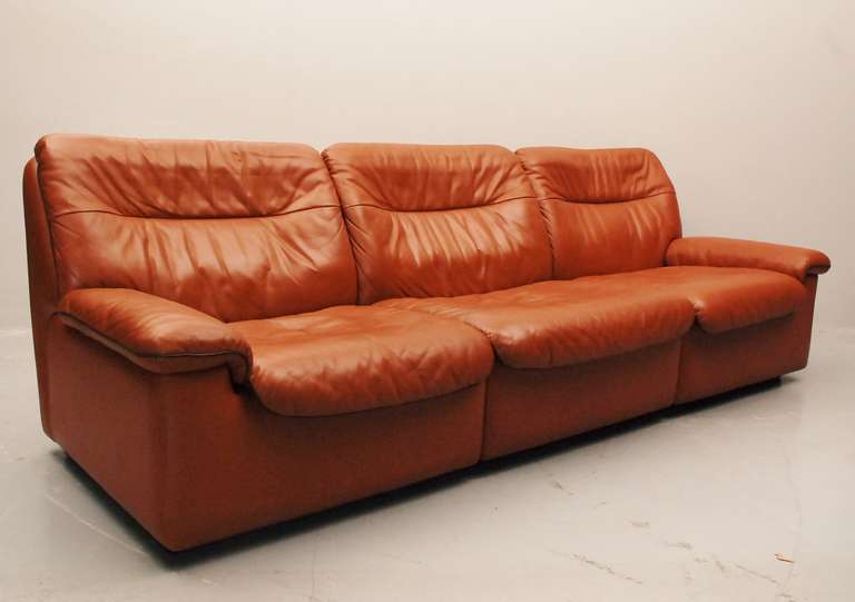 20th Century De Sede DS-66 Three-Seat Sofa For Sale