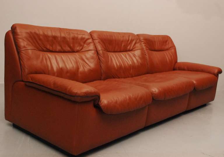 De Sede DS-66 Three-Seat Sofa For Sale 1