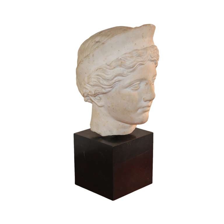Head of Hera (or Juno) in marble, on square black socle. Modeled after the Greek original by Polikleitos. Grand Tour bust made for British buyers. Busts were often 