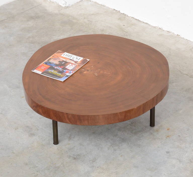Tree Trunk Coffee Table of the 1950s