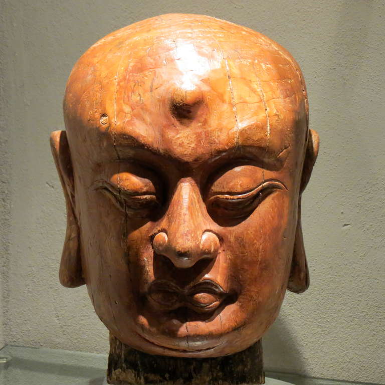 Fine Chinese wood head of a Luohan. Ming dynasty 1368-1644 This piece has some age related stress fractures and went through a complete process of conservative restoration.
