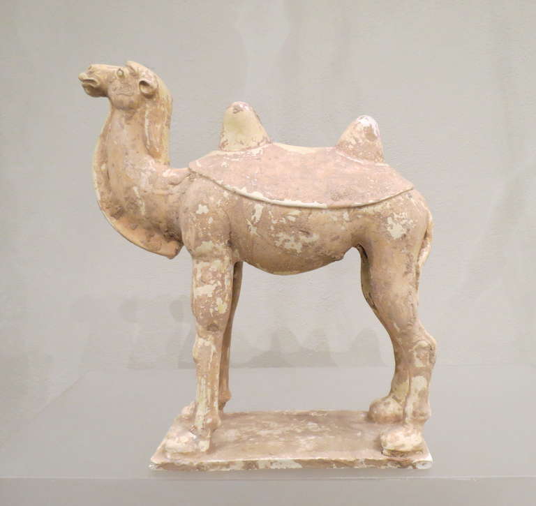 A Chinese glazed pottery model of a static camel, covered in a crackled cream-colored glaze. Sui dynasty, A.D. 589-618 dating consistent with thermo-luminescence analysis report n. S238 (see image) Arcadia, Milan, Italy.