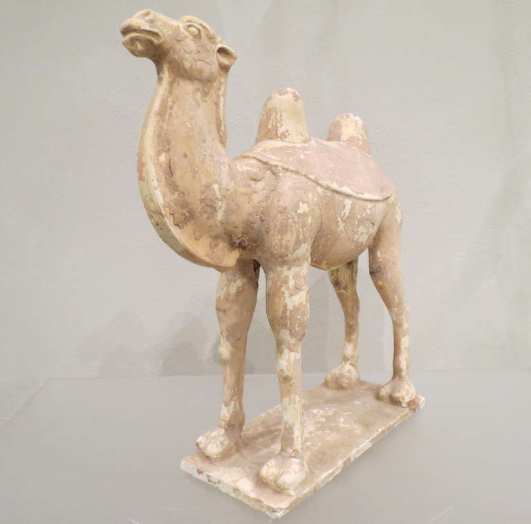 Molded Chinese Painted and Glazed Pottery Sui Dynasty Camel