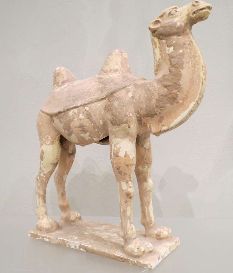 Chinese Painted and Glazed Pottery Sui Dynasty Camel In Good Condition In Torino, IT