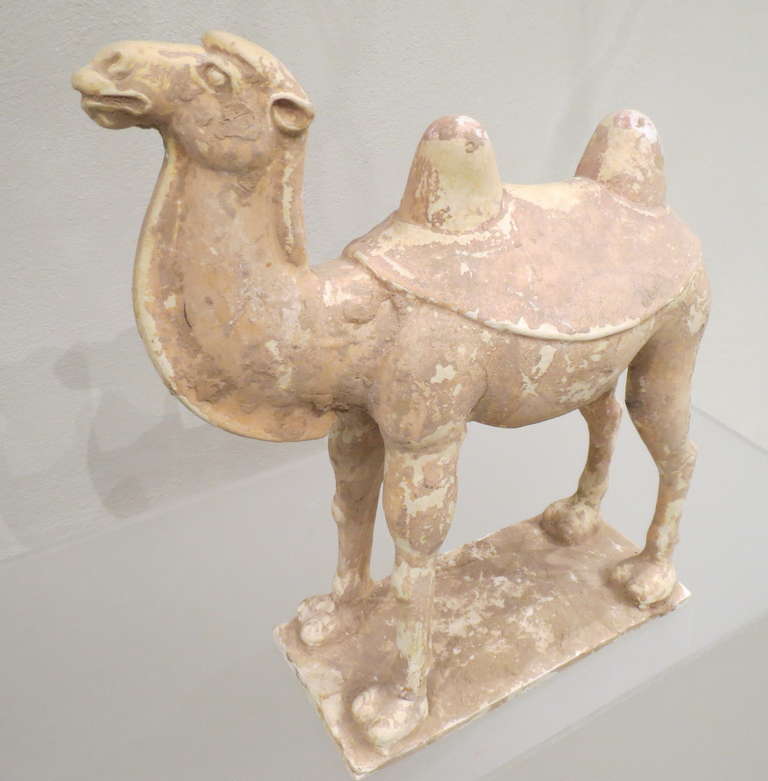 18th Century and Earlier Chinese Painted and Glazed Pottery Sui Dynasty Camel