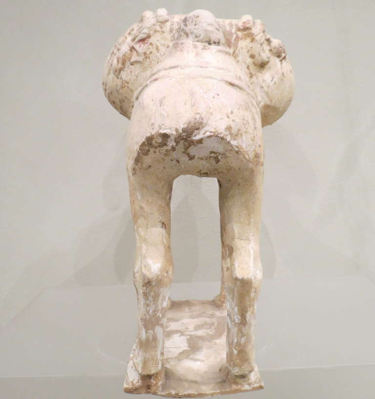 Molded Chinese Painted and Glazed Pottery Sui Dynasty Bactrian Camel