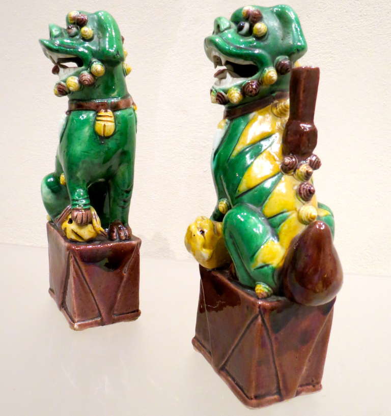 Chinese Pair of Famille Verte et Jaune Foo Dogs, Qing Dynasty For Sale