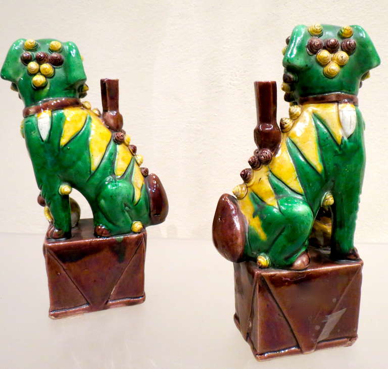 Paar Famille Verte et Jaune Foo Dogs, Qing Dynasty im Zustand „Hervorragend“ im Angebot in Torino, IT