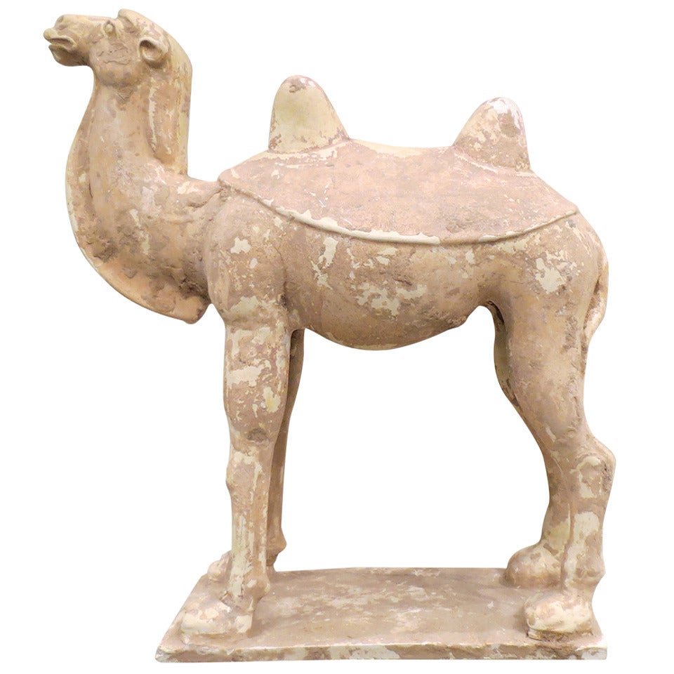 Chinese Painted and Glazed Pottery Sui Dynasty Camel