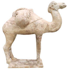 Chinese Painted and Glazed Pottery Sui Dynasty Bactrian Camel 6