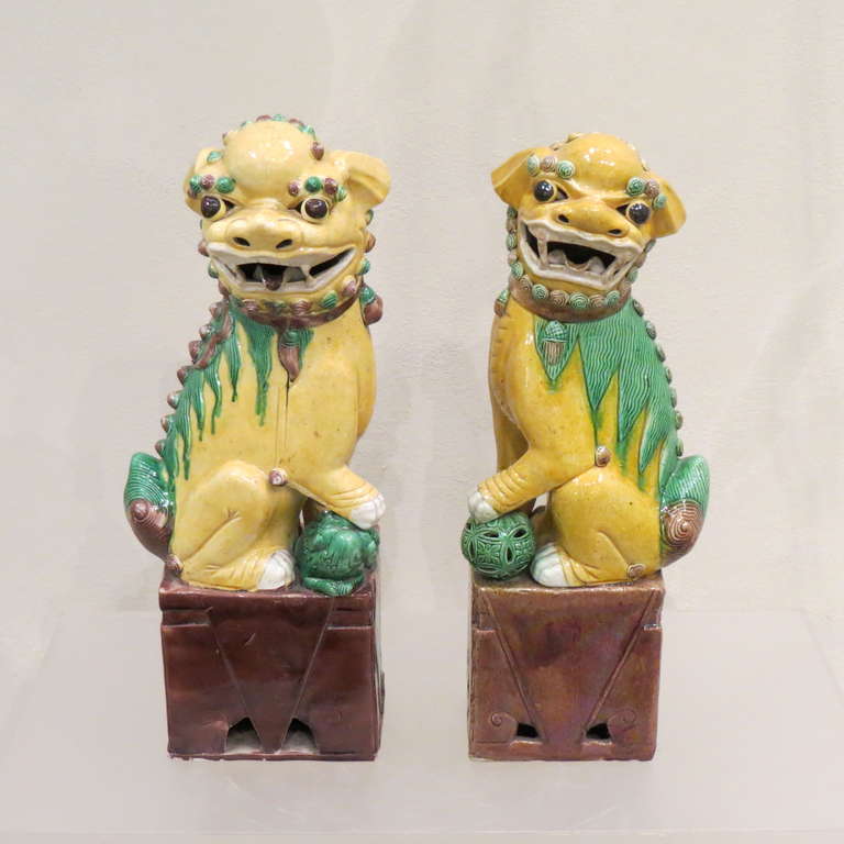 Antikes, großes Paar polychromierter Porzellan-Fuchshunde, Chinesisch, um 1900 (20. Jahrhundert) im Angebot