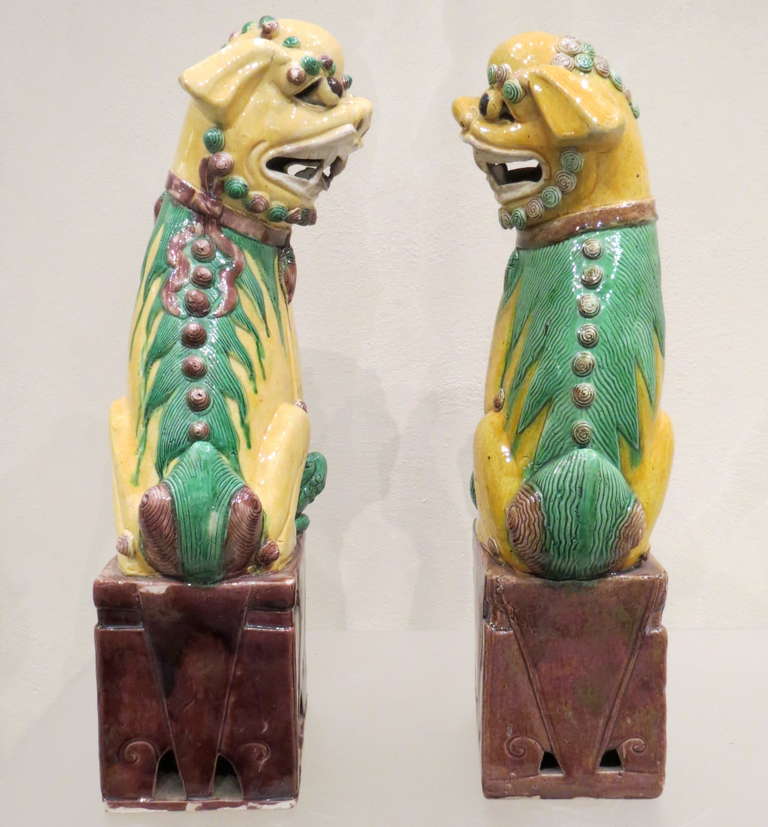 20th Century Antique Large Pair of Porcelain Polychrome Foo Dogs, Chinese, circa 1900 For Sale