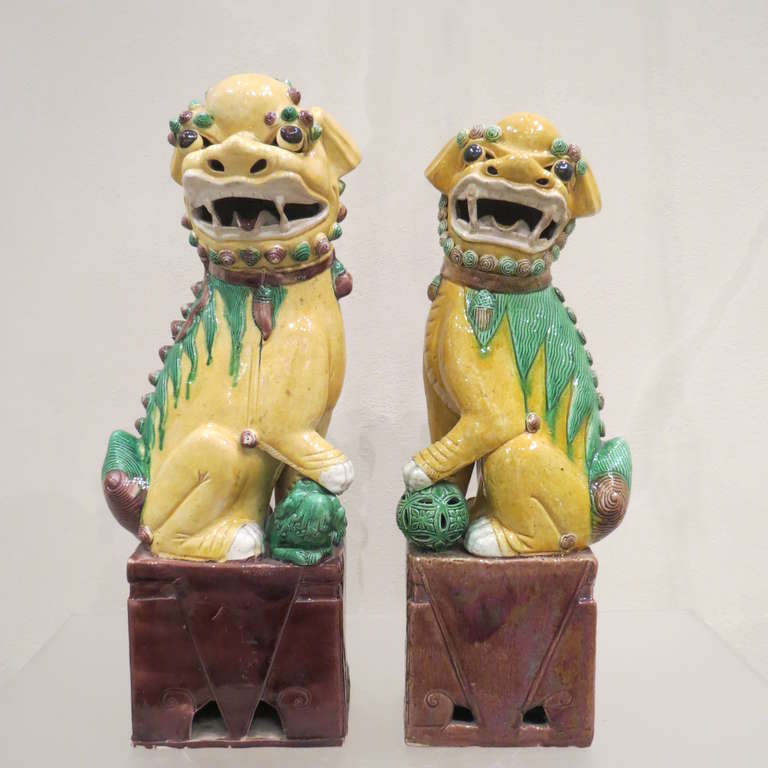 Antikes, großes Paar polychromierter Porzellan-Fuchshunde, Chinesisch, um 1900 im Angebot 3
