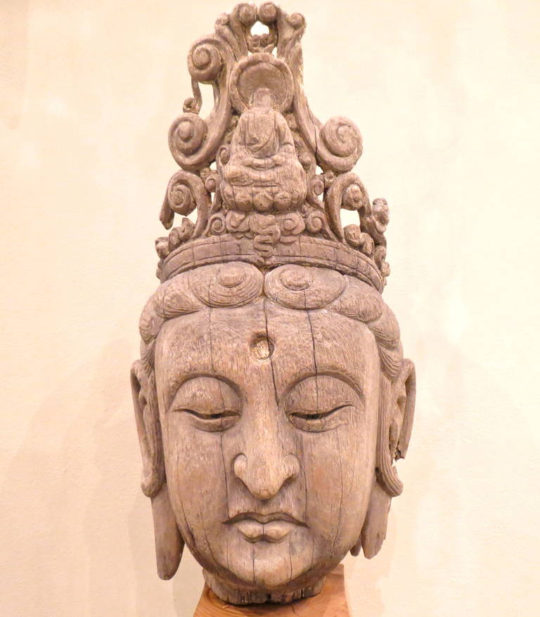 Fine large carved wood head of a Guan Yin, the Chinese goddess of mercy. The fine features of the Bodhisattva has a clear Indo-sino influence with slightly hooked nose (slightly damaged by fire), high cheekbones and upward eyelid, all conveying a