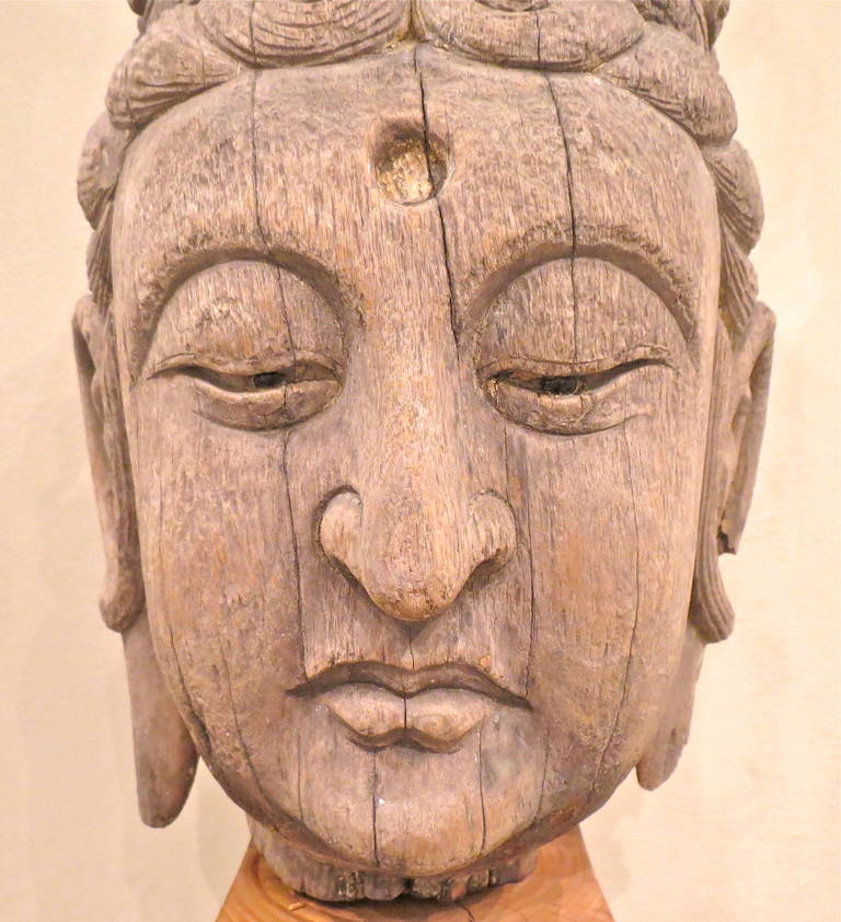 Chinese Large Carved Wood Head of a Guan Yin, China Ming Dynasty, 1368-1644