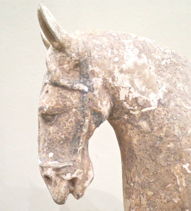 The powerful figure is shown standing foursquare on a rectangular plinth with head raised, Tang dynasty (618-907).
Thermoluminescence test certificate 462D.