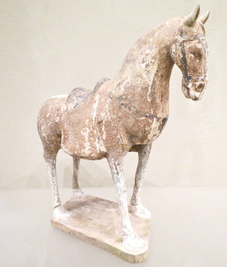 Tang Dynasty Painted Pottery Model of a Horse In Good Condition In Torino, IT