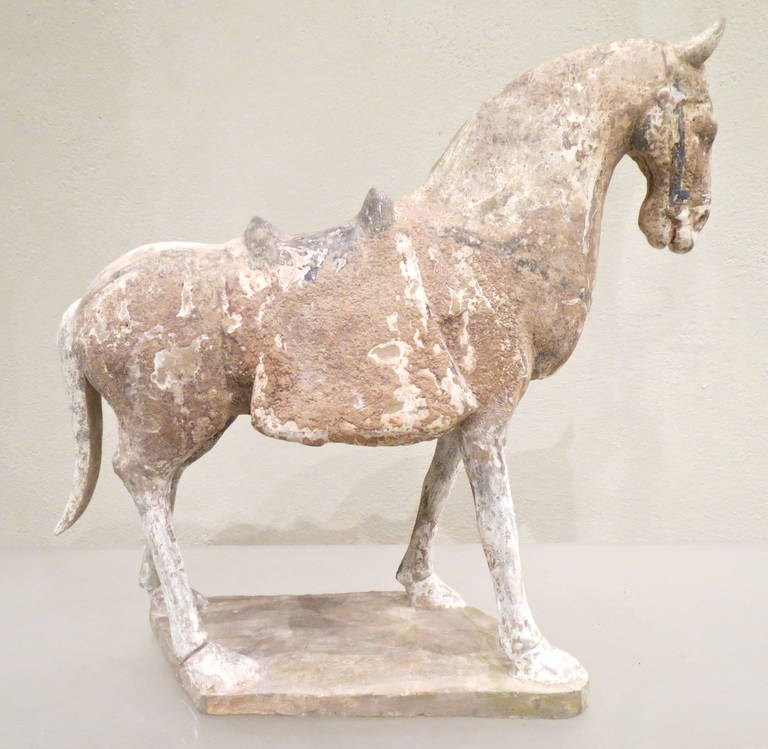 18th Century and Earlier Tang Dynasty Painted Pottery Model of a Horse