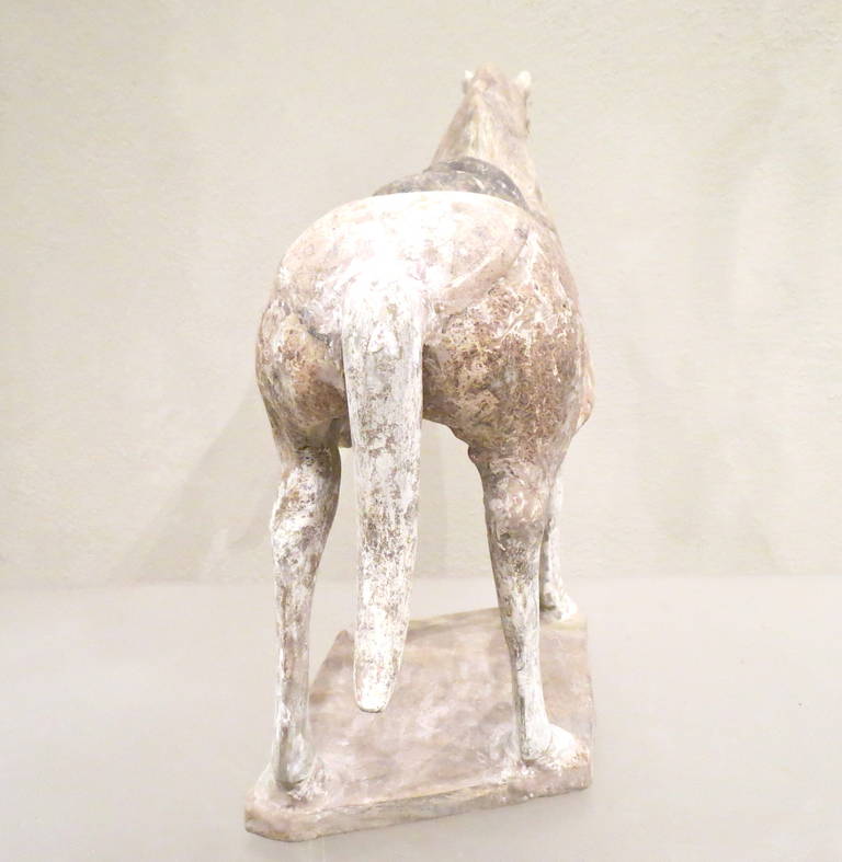 Terracotta Tang Dynasty Painted Pottery Model of a Horse