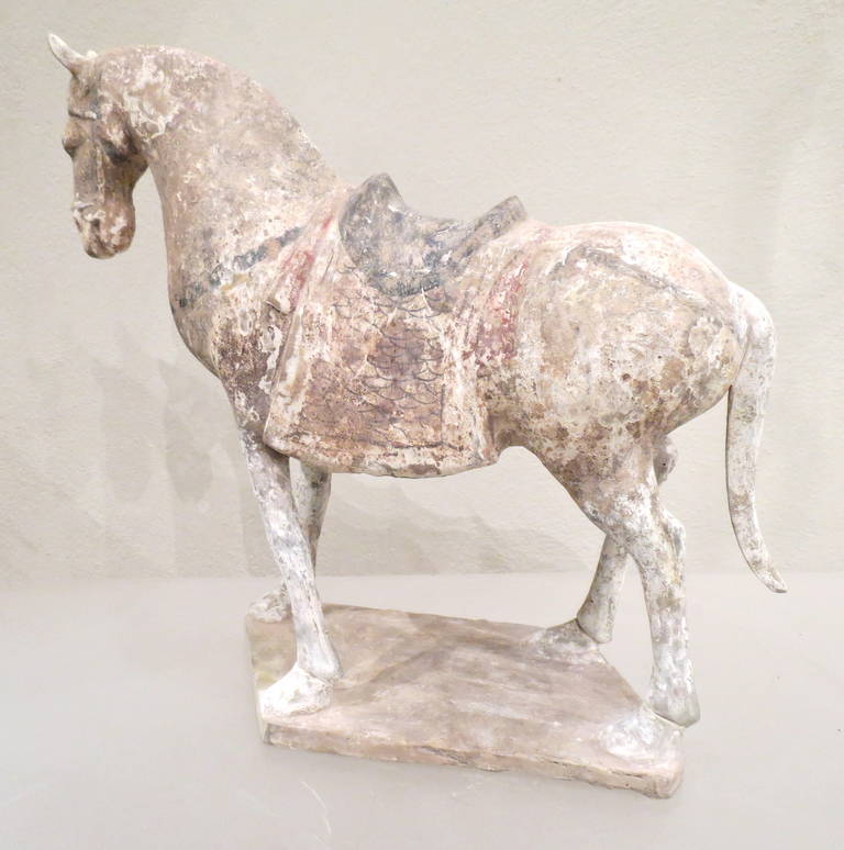 Tang Dynasty Painted Pottery Model of a Horse 1