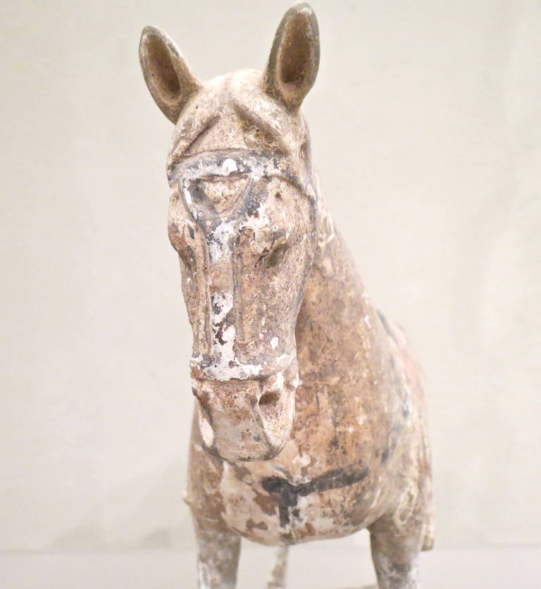 Tang Dynasty Painted Pottery Model of a Horse 2